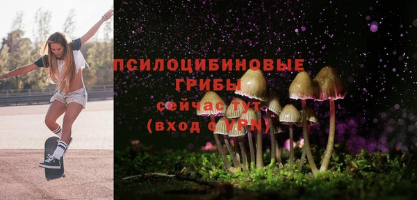 МДПВ Абаза