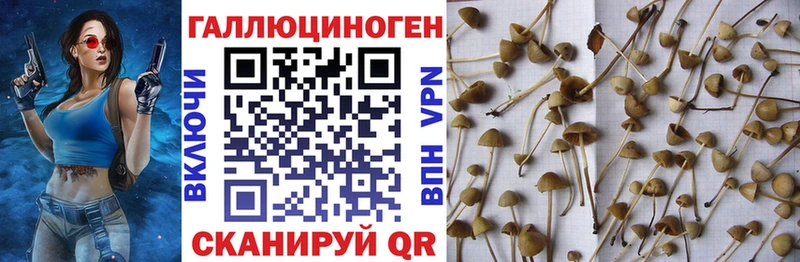 купить наркотик  Усолье  Галлюциногенные грибы мицелий 